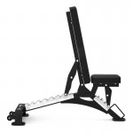 Lifespan CORTEX ALPHA SERIES FID-11 Commercial Multi Adjustable Bench with Decline