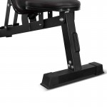 Lifespan Cortex BN-6 Bench with Chin Up Attachment