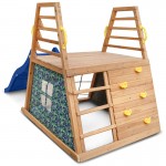 Lifespan Cooper Climb & Slide (Blue Slide)