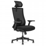 Lifespan DM9 Ergonomic Mesh High Back Office Chair