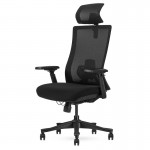 Lifespan DM9 Ergonomic Mesh High Back Office Chair