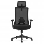 Lifespan DM9 Ergonomic Mesh High Back Office Chair