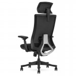 Lifespan DM9 Ergonomic Mesh High Back Office Chair