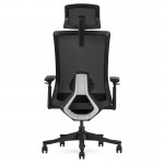 Lifespan DM9 Ergonomic Mesh High Back Office Chair