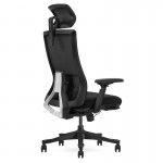 Lifespan DM9 Ergonomic Mesh High Back Office Chair