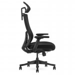 Lifespan DM9 Ergonomic Mesh High Back Office Chair