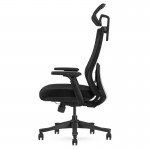 Lifespan DM9 Ergonomic Mesh High Back Office Chair