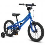 Progear DuraLite 16" Kids Bike - Azure Blue