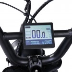 XDS ICON E-Vibe 20" Electric Bike - Galaxy Black