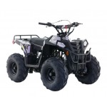 Apollo RFZ Commander 110cc Junior Quad Bike - Black