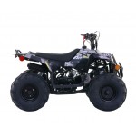 Apollo RFZ Commander 110cc Junior Quad Bike - Black