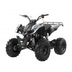 Apollo RFZ Falcon 140cc Sports Quad Bike - Black