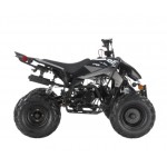 Apollo RFZ Falcon 140cc Sports Quad Bike - Black