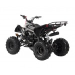 Apollo RFZ Falcon 140cc Sports Quad Bike - Black