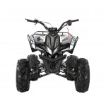 Apollo RFZ Falcon 140cc Sports Quad Bike - Black