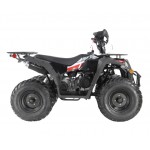 Apollo RFZ Commander 200cc Farm Quad Bike - Black