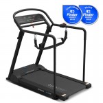 Lifespan Reformer 2 Safety Rehabilitation Treadmill