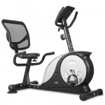 LSG RB-2 Recumbent Bike