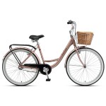 XDS Broadwalk 26" x 18" Step Through Bike Rose Gold