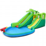 Lifespan Crocadoo Slide & Splash