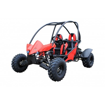 DUNE BUGGY