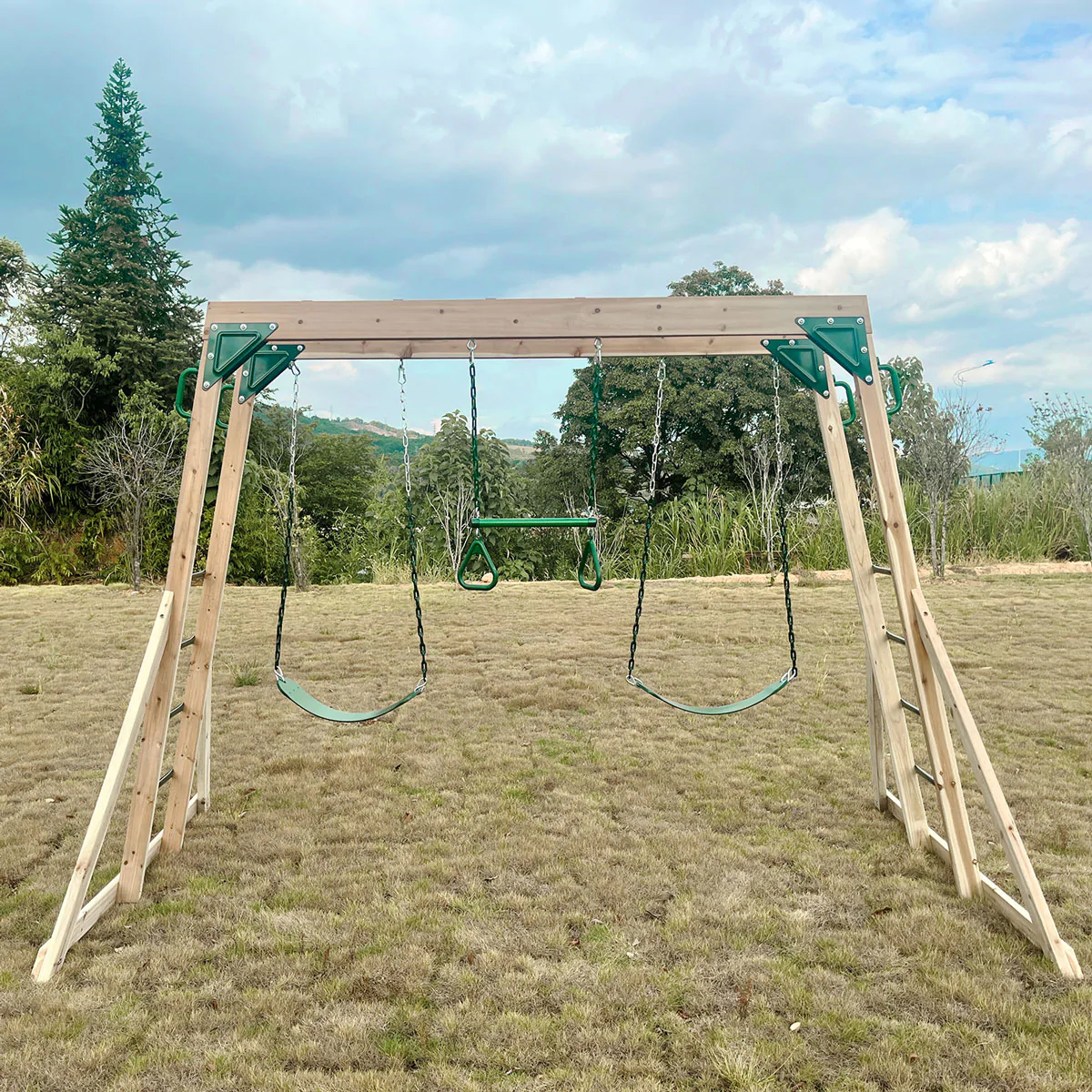 Lifespan Daintree 2-in-1 Monkey Bars & Swing Set