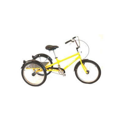 gomier trike review