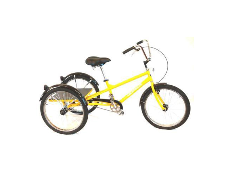 gomier trike review